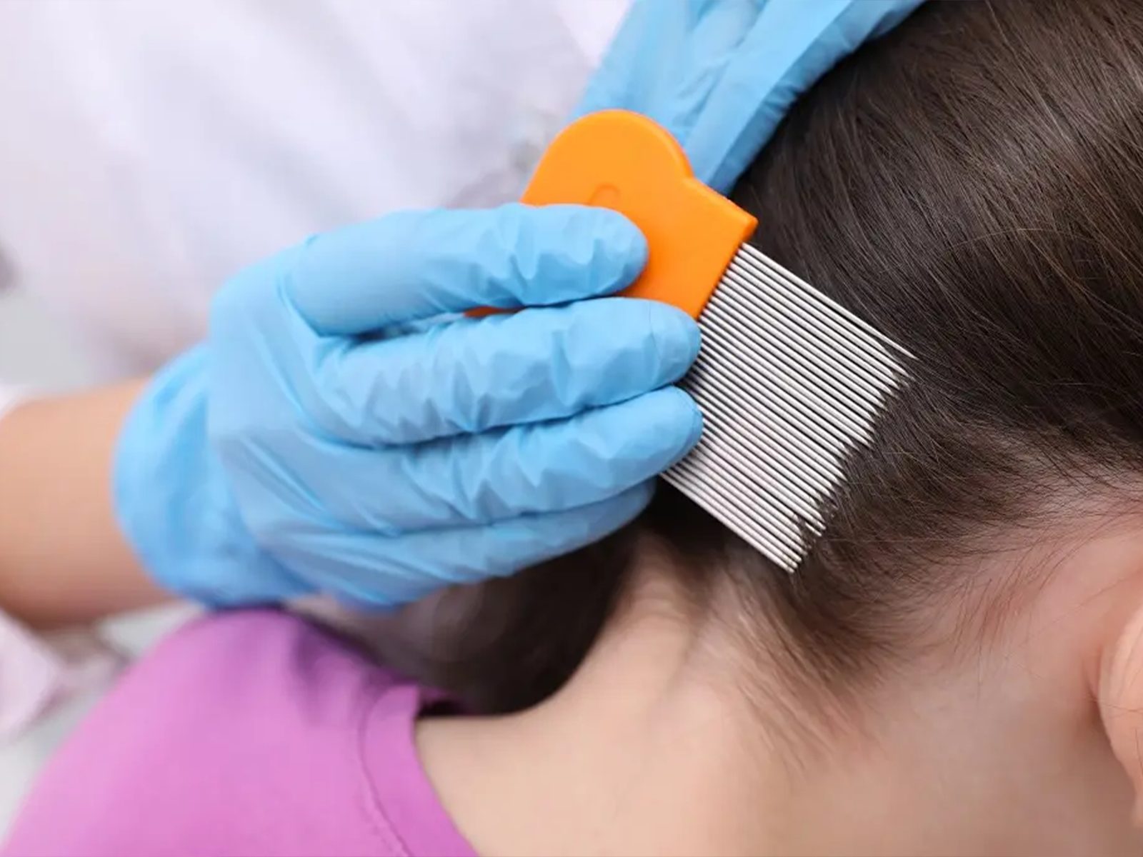 Anti-Lice Treatment