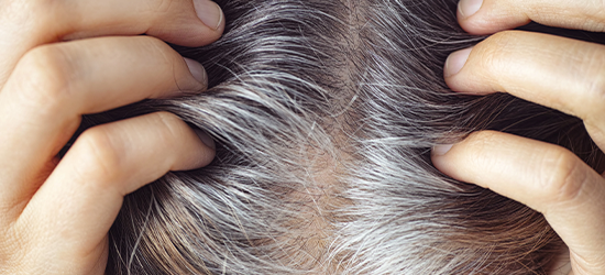Grey Hair Coverage Services in Pathanamthitta